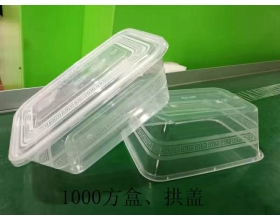 注塑盒（1000方盒、拱蓋）-長沙注塑廠